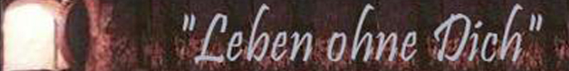Leben ohne Dich - Homepage f�r verwaiste Eltern